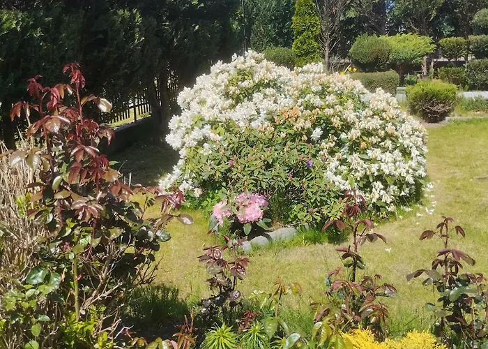 Konukevi Baltazar 3*